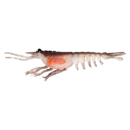 LIVE OPS: Switcher Shrimp