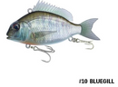 Little Jack Charikom 75mm Lure (Assorted Colours)
