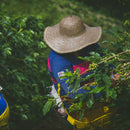 Filament Coffee Brew Bags - Bright Fresh & Fruity (150g | 10 Drip Filter Bags)