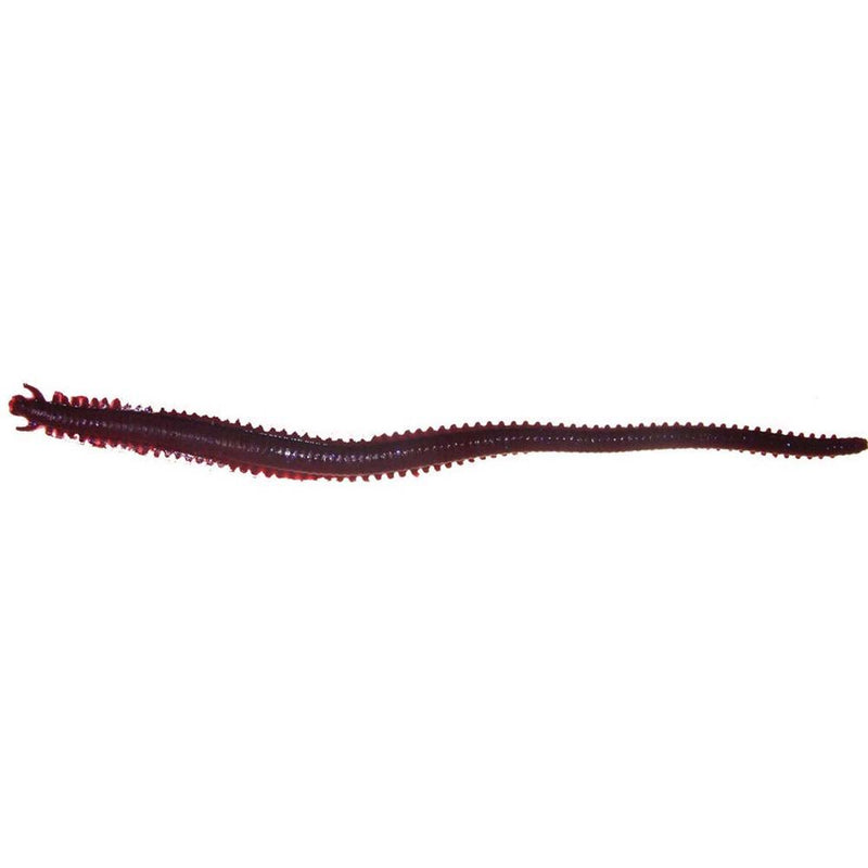 Berkley Gulp Sandworm 6 Inch Bloodworm