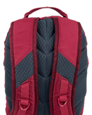 BlackWolf Booderee 20L Backpack - Tibetan Red