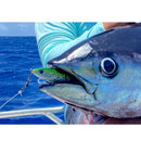 Ocean's Legacy Access Swivels (Assorted Sizes)