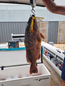 Getaway Outdoors PEC Demersal Fly Rig 120lb - Custom Made