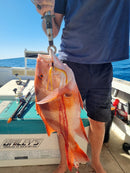 Getaway Outdoors PEC Demersal Fly Rig 120lb - Custom Made