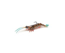 Zman Prawnz Elite 2.5" Soft Plastic Lure (Assorted Colours)