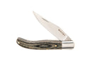 WHITBY Folding Pocket Knife - 2.75" (pakkawoode)