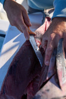 Dexter Russell Dextreme 8″ Dual Edge Fillet Knife with Sheath (DX8F/24912)