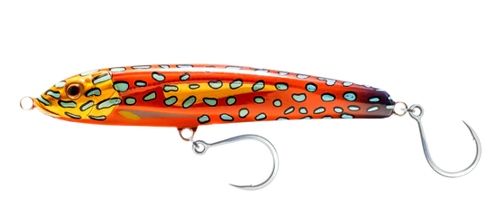 Nomad Riptide Lure Sinking (105mm) - Coral Trout