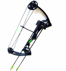 Hori-Zone K9 Youth Compound Bow Set (8-26LB)