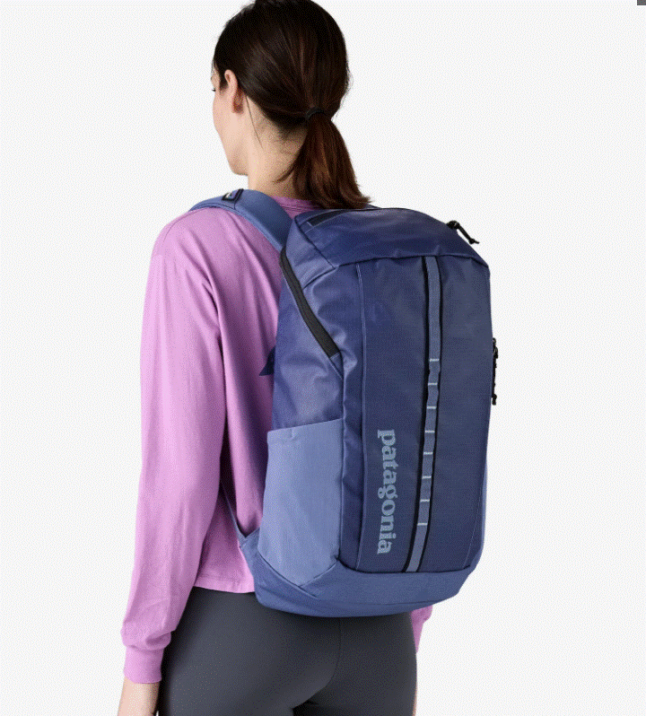 Patagonia 25L Black Hole Backpack - Current Blue