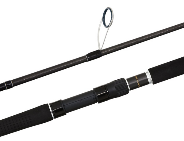 Shimano Anthem SW Rod 6'9" 2pe Heavy Spin (20ASW692SPH)