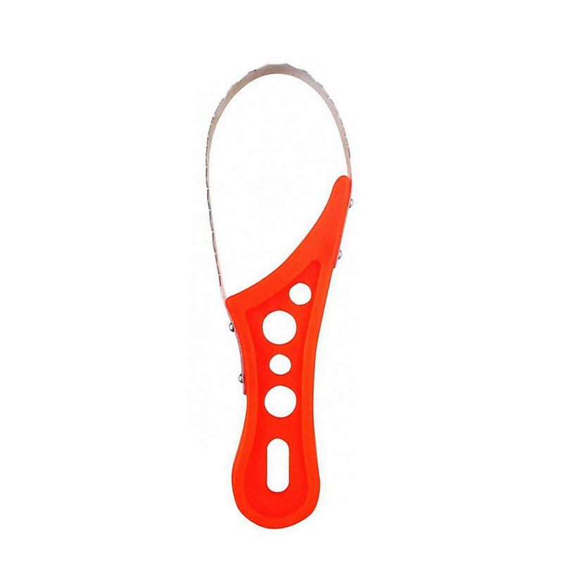 Berkley Stainless Steel Fishing Scaler