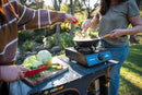 Companion Single Burner Wok Cooker