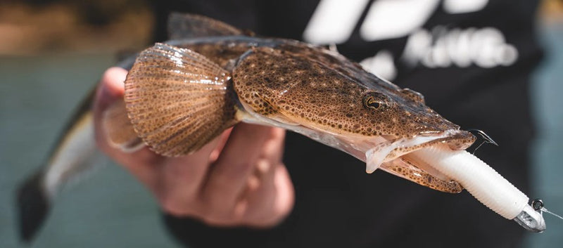 Daiwa 26 Crossfire Rods (Assorted Models)