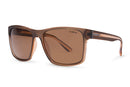 Liive Vision Kerrbox Sunglasses - Brown XTAL Frame with Polarized Beer Lens