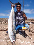 Wilson Live Fibre Venom LBG Rod 7'11 PE 2-5