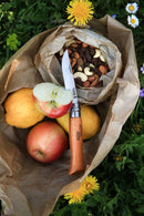 Opinel Traditional Classic Carbon Steel (No 10)