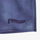 Patagonia Hydropeak 16" Volley Shorts - Sea Spray/Concrete Purple