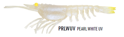 Nomad Design Tackle Live Ops Switcher Shrimp 5" Soft Plastic (Assorted Colours)