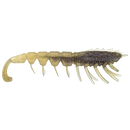 Rapala Crush City 6" Imposter (Assorted Colours)