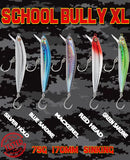 DR Hook School Bully XL (Assorted Colours)