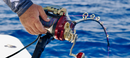Daiwa Seaborg G1200M Electric Reel