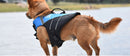 Water Woofer DFD (Dog Floatation Device) Medium Blue (Chest Size 43-76cm)