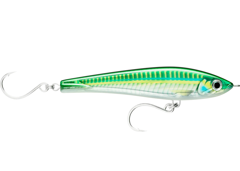 Rapala X-Rap Magnum Stick Lure (XRMAGST17) - Big Eye Scad