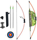Hori-Zone Fire Hawk Fibreglass 44" 15lbs Longbow Set