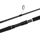 Shimano Anthem SW Rod 802SB PE5