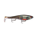 Rapala X-Rap Peto Lure - XRPT14 Live Roach