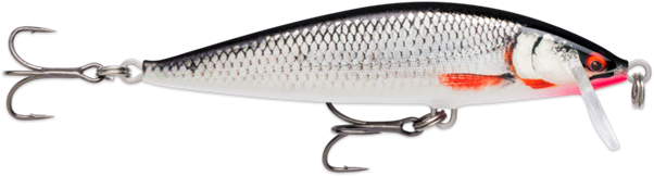 Rapala CountDown Elite Lure 95mm - Gilded Live Roach
