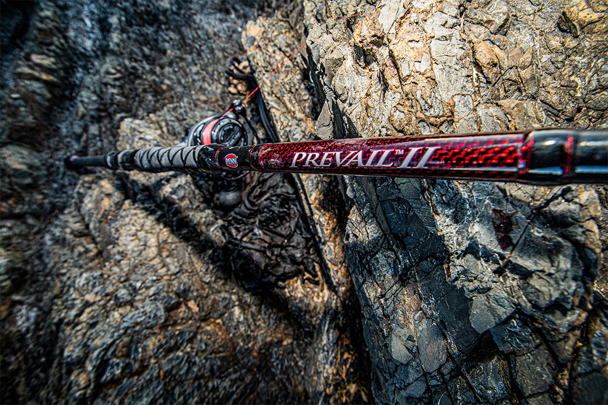 Penn prevail 2 discount