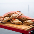 Camp Chef Folding Side Shelf Set for 14" Stove Cooking Systems