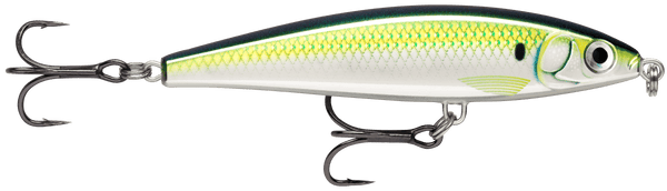 Rapala X-rap Magprey Lure 10 Pilchard HD