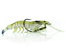 Chasebaits Flick Prawn Lure 95mm Banana Prawn