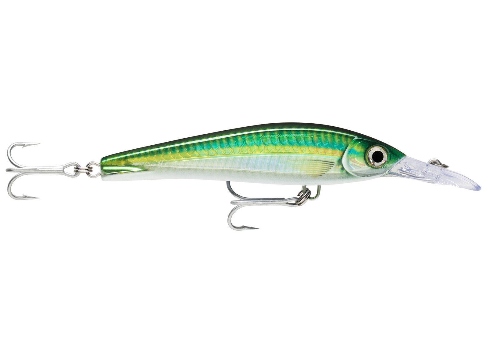 Rapala X-Rap Long Cast Shallow 12 Bigeye Scad