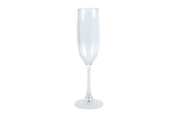 Wildtrak Tritan Champagne Flute (145ml)