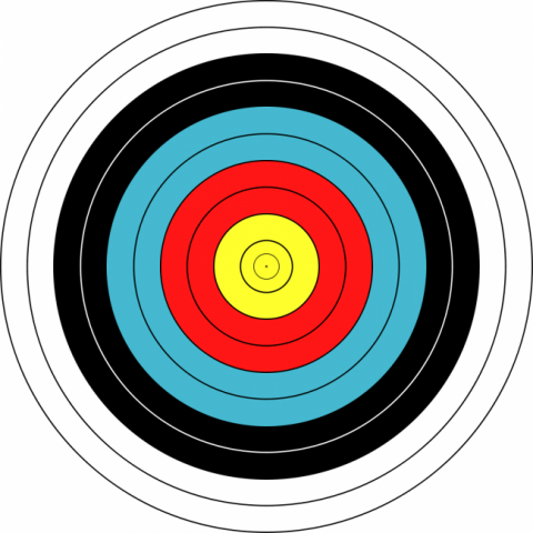 FITA Archery Target Face 80cm