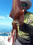 Egilicious Squid Jig (3.5) - Flash Back