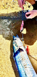 Getaway Outdoors Balcatta Wire Ballooning Pre-made Rig